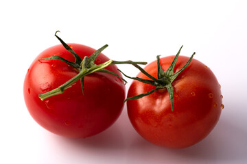 tomatoes on a vine