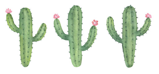 Aquarel Cactussen Set