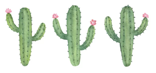 Fotobehang Cactus Aquarel Cactussen Set