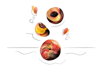 Peach of fruit cartoon set icon. Illustration on white background. Isolated cartoon set icon