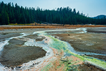 Geothermal pools at Porcelain Basin boardwalk trail inside Norris Geyser Basin