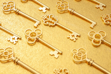 Secret wealth and the key to success concept with pattern of many ornate gold skeleton keys...