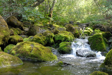Kelsey lake summer day mountains view