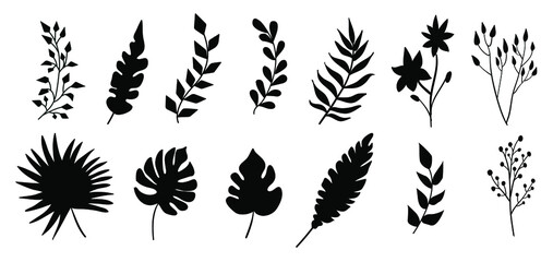 Tropical and exotic leaves silhouette isolated on white background. Vector palm leaf, monstera and other plants illustrations.