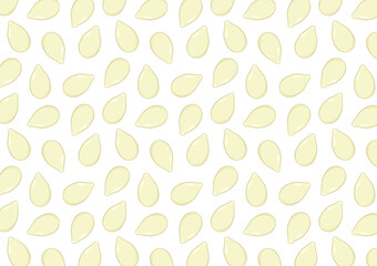 Pumpkin seed vector. Pumpkin seed on white background.