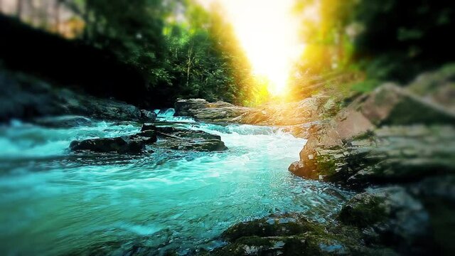 mountain stream in the forest