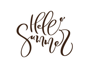 Fototapeta na wymiar Calligraphy lettering brush text Hello Summer. Vector Hand Drawn Isolated phrase. Illustration doodle sketch isolated design for greeting card, print