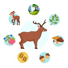 Vector illustration of forest animals. Cute cartoon deer. Set of icons. 