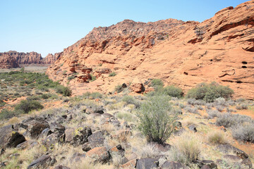 Fototapeta premium Snow Canyon State Park in Utah, USA