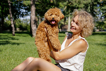 Adorable maltipoo puppy in arms of its loving owner. Adult woman outdoors playing with her small adorable doggy in the park. A hybrid between the maltese dog and miniature poodle. Close up, copy space
