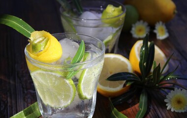 Glass with iced lemonade decorated with green leaves and lemon slices. 
