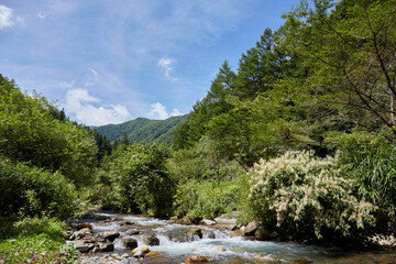 夏の中俣せせらぎ公園と鎖川 長野県 朝日村