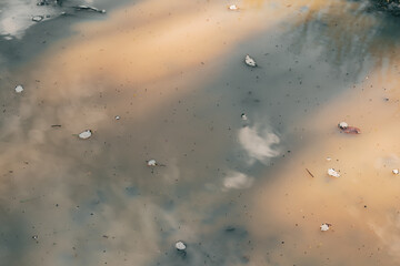 Fototapeta na wymiar mud puddle