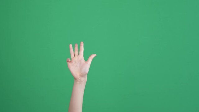 Counting at fingers concept. Rised kid hand showing 1, 2, 3, 4, 5 fingers up over empty chroma key green screen background