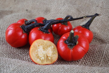 Ethiopian eggplant (African eggplant, Solanum aethiopicum, the bitter tomato, nakati) on bagging