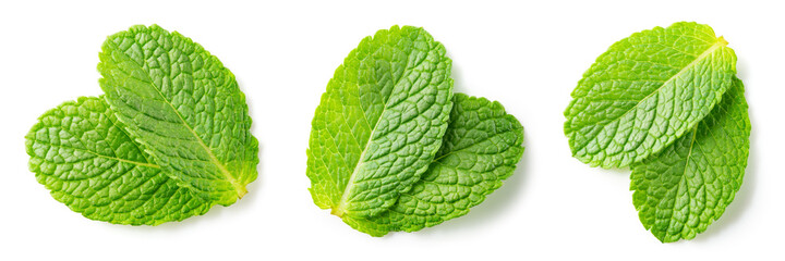 Mint leaf isolated. Fresh mint on white background. Set of mint leaves. Full depth of field.