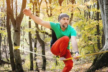 Naklejka na ściany i meble Autumn forest. middle aged athletic man practices slackline balance in autumn forest.