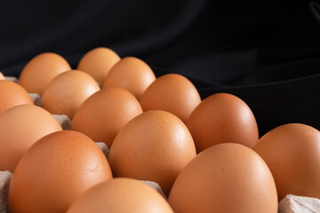 Chicken eggs in panel on black background