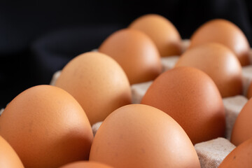 Chicken eggs in panel on black background
