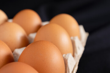 Chicken eggs in panel on black background