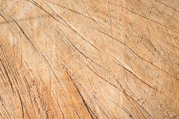 Brown wood and sawdust from a fallen tree texture background - obrazy, fototapety, plakaty