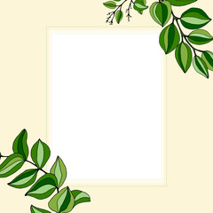 Large set of eucalyptus leaves and branches. Collection of eucalyptus branches. Vector illustration of greenery. Eucalyptus with seeds.