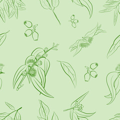 Seamless pattern with eucalyptus leaves. Collection of eucalyptus branches. Vector illustration of greenery. Eucalyptus with seeds.