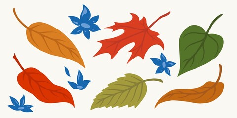 Colorful leaves and blue flowers composition