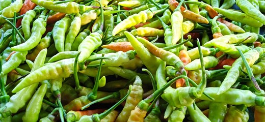 green chili in the garden