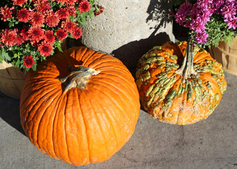 Pumpkins