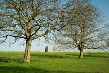 Black Mill with leafless trees under blue sky in spring Beverley, UK.