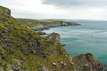 Cliffs Old Head of Kinsale  Cork Ireland