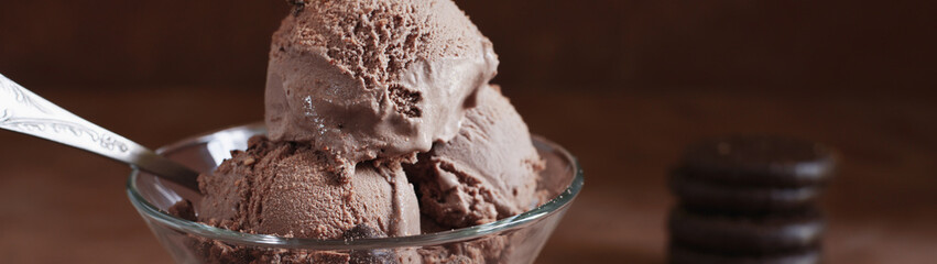 Balls of chocolate ice cream sprinkled with chocolate chip crumbs in a glass bowl banner
