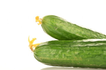 Two juicy green cucumbers, close-up, isolated on white.