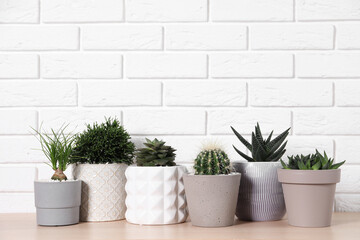 Different house plants in pots on wooden table near white brick wall, space for text