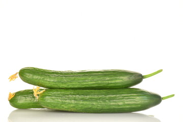 Three juicy green cucumbers, close-up, isolated on white.
