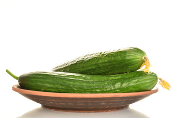 Two organic green cucumbers on a clay plate, close-up, isolated on white.
