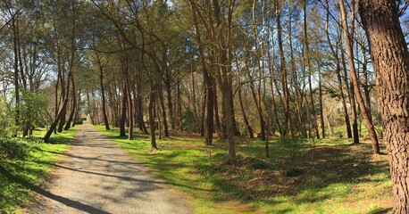 promenade à Loctudy en Bretagne Pays Bigouden Finistère France
