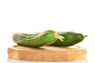 Two organic green cucumbers on a wooden tray, close-up, isolated on white.