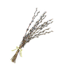 Beautiful blooming pussy willow branches on white background, top view © New Africa