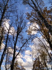 Fototapeta premium sky
