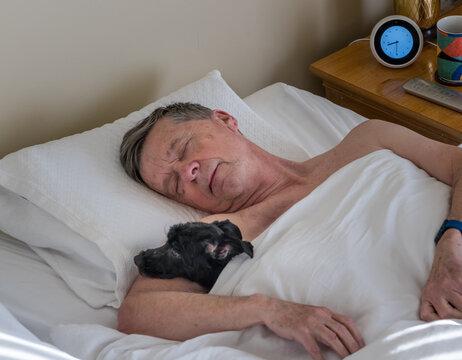 Senior Retired Man Asleep In Bed And Snuggling His Pet Terrier Dog. Could Be Used As Illustration Of Importance Of Pets To Older People