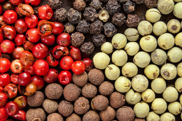 Four pepper spices in red, green, brown and black colors