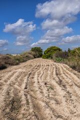 Dry Plowed Soil