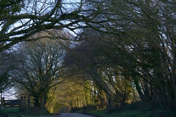 Le matin de printemps sur Barré Nevez à Briec Bretagne Cornouailles Finistère France