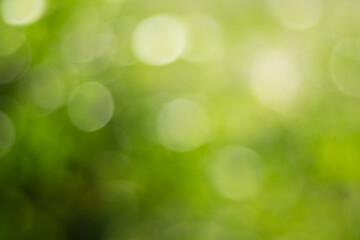 Natural outdoors bokeh background in gold sunlight with green and yellow tones, Blurred light and ...