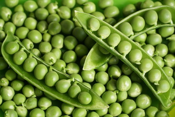 Fototapeta na wymiar green peas
