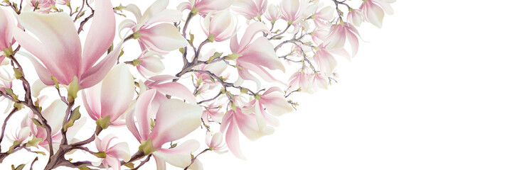 Magnolia flower, vector pink blossom. Sakura floral design. 3d minimal illustration, rose bloom. - obrazy, fototapety, plakaty