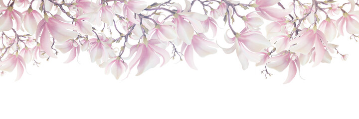 Magnolia flower, vector pink blossom. Sakura floral design. 3d minimal illustration, rose bloom. © Gluiki
