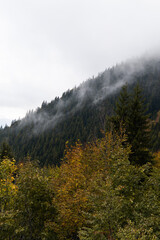 autumn forest in the mountains, Slovakia